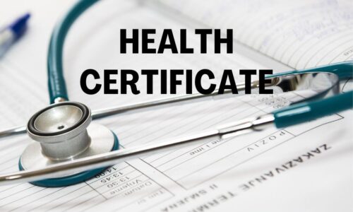 Considerations to Know About Health Certificate