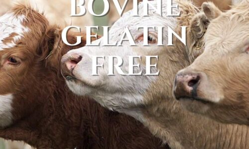 A Review of Bovine Gelatin BSE Free