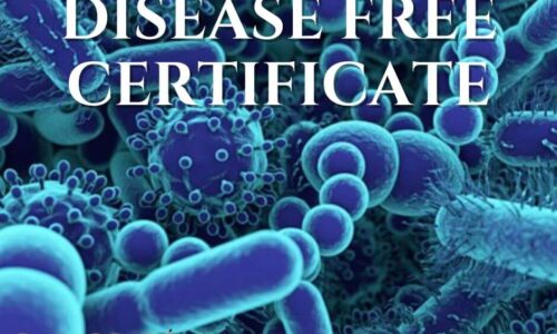 Disease Free Certificate Fundamentals Explained